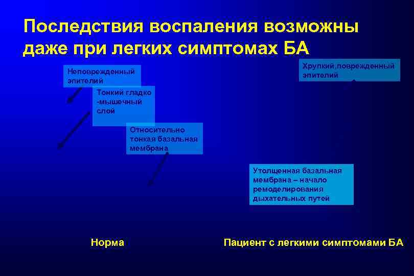 Последствия воспаления возможны даже при легких симптомах БА Неповрежденный эпителий Хрупкий, поврежденный эпителий Тонкий