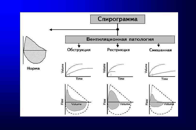 1 нарисовать спирограмму