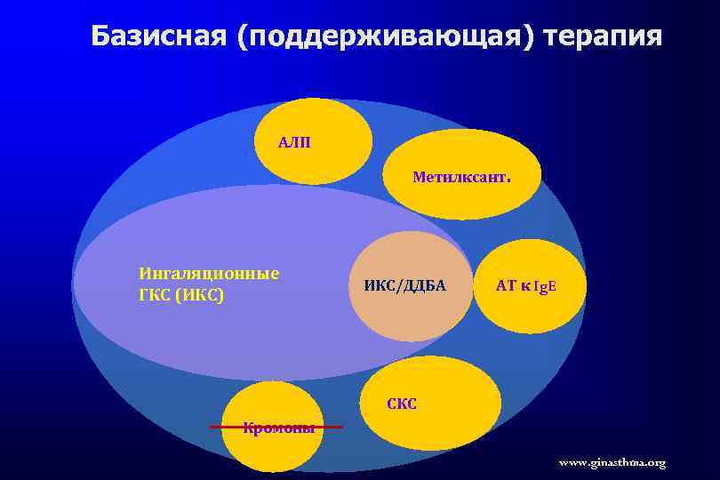 Базисная (поддерживающая) терапия АЛП Метилксант. Ингаляционные ГКС (ИКС) ИКС/ДДБА АТ к Ig. E СКС