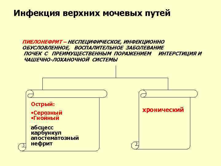 Инфекция верхних мочевых путей ПИЕЛОНЕФРИТ – НЕСПЕЦИФИЧЕСКОЕ, ИНФЕКЦИОННО ОБУСЛОВЛЕННОЕ, ВОСПАЛИТЕЛЬНОЕ ЗАБОЛЕВАНИЕ ПОЧЕК С ПРЕИМУЩЕСТВЕННЫМ