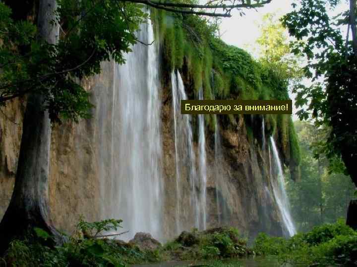 Благодарю за внимание! 