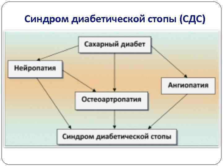 Синдром диабетической стопы (СДС) 