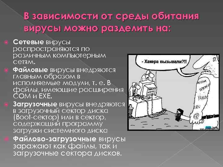 В зависимости от среды обитания вирусы можно разделить на: Сетевые вирусы распространяются по различным