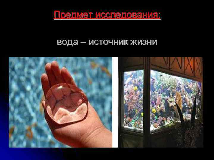  Предмет исследования: вода – источник жизни 