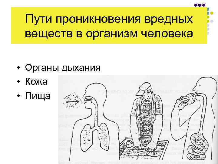 Пути проникновения вредных веществ в организм человека • Органы дыхания • Кожа • Пища