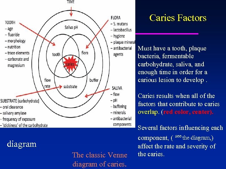 Caries Factors Must have a tooth, plaque bacteria, fermentable carbohydrate, saliva, and enough time