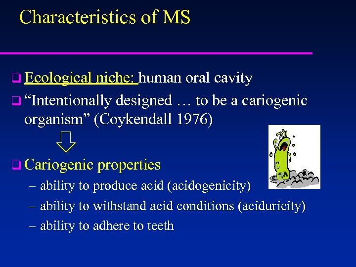 Characteristics of MS q Ecological niche: human oral cavity q “Intentionally designed … to