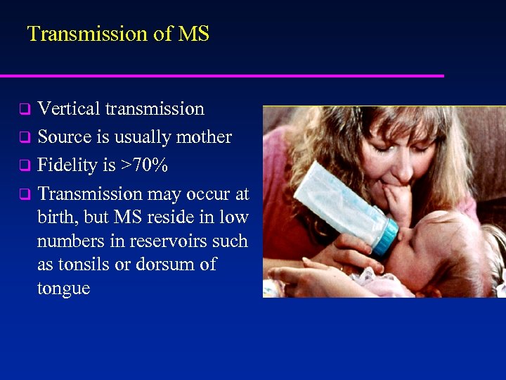 Transmission of MS Vertical transmission q Source is usually mother q Fidelity is >70%