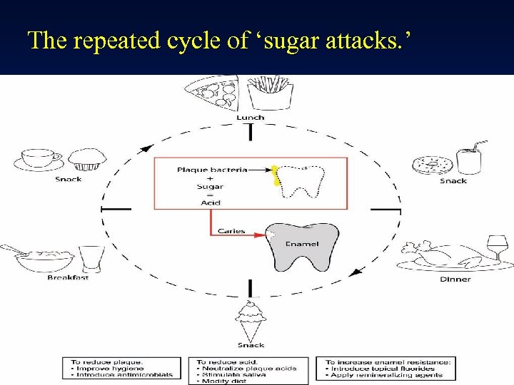 The repeated cycle of ‘sugar attacks. ’ 
