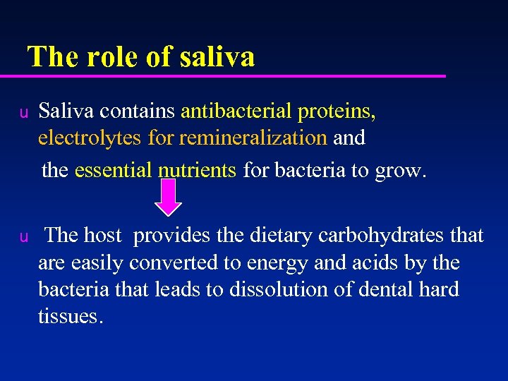 The role of saliva Saliva contains antibacterial proteins, electrolytes for remineralization and the essential