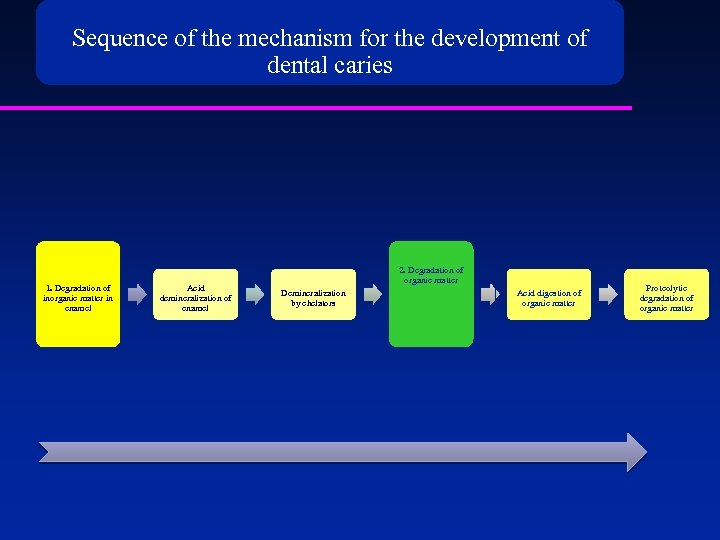 Sequence of the mechanism for the development of dental caries 1. Degradation of inorganic