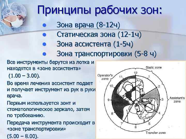 Принцип рабочий. Эргономика врача стоматолога и ассистента. Положение врача и ассистента в стоматологии. Положение врача 12 часов. Положение на 12 часов в стоматологии.