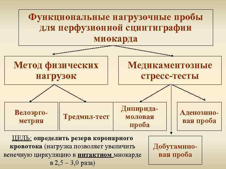 Функциональные нагрузочные пробы для перфузионной сцинтиграфии миокарда Метод физических нагрузок Велоэргометрия Тредмил-тест Медикаментозные стресс-тесты