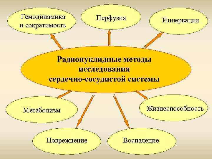 Гемодинамика и сократимость Перфузия Иннервация Радионуклидные методы исследования сердечно-сосудистой системы Метаболизм Повреждение Жизнеспособность Воспаление