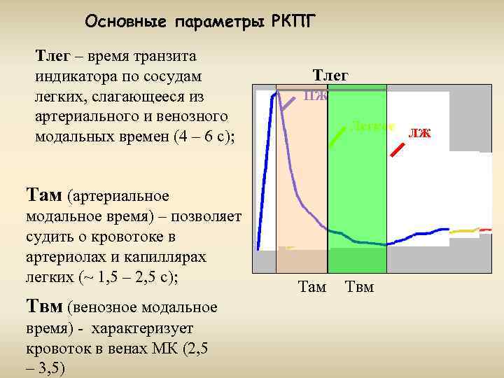 Основные параметры РКПГ Тлег – время транзита индикатора по сосудам легких, слагающееся из артериального