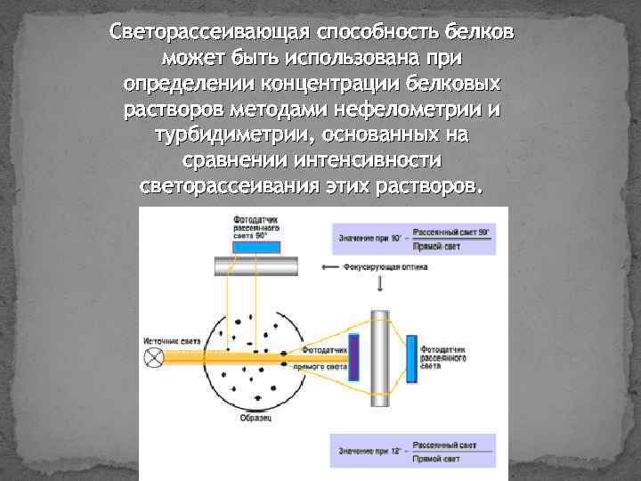 Светорассеивающая способность белков может быть использована при определении концентрации белковых растворов методами нефелометрии и