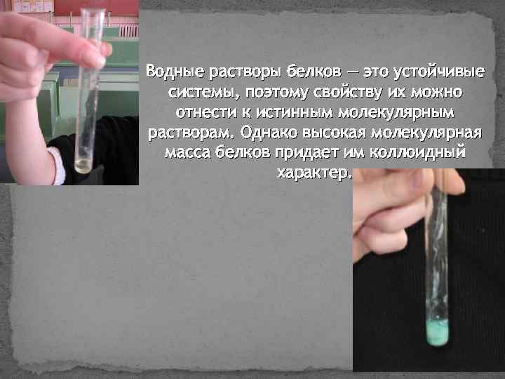 Водные растворы белков — это устойчивые системы, поэтому свойству их можно отнести к истинным