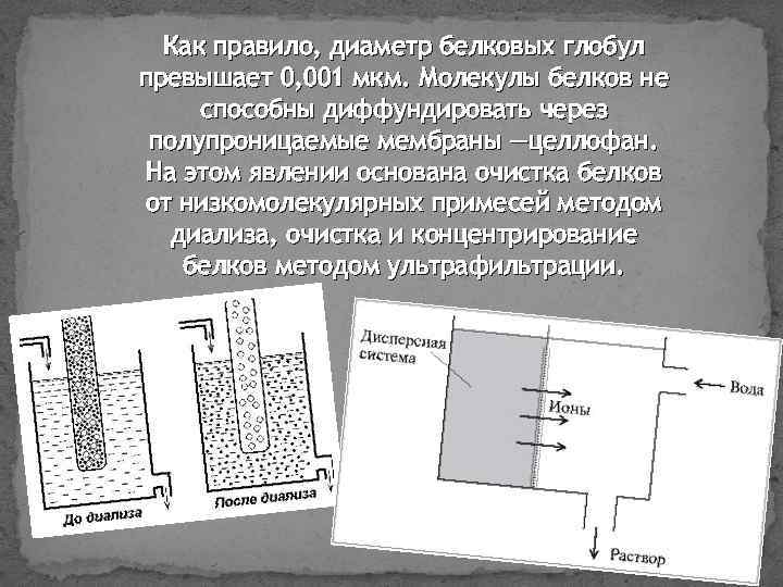 Как правило, диаметр белковых глобул превышает 0, 001 мкм. Молекулы белков не способны диффундировать