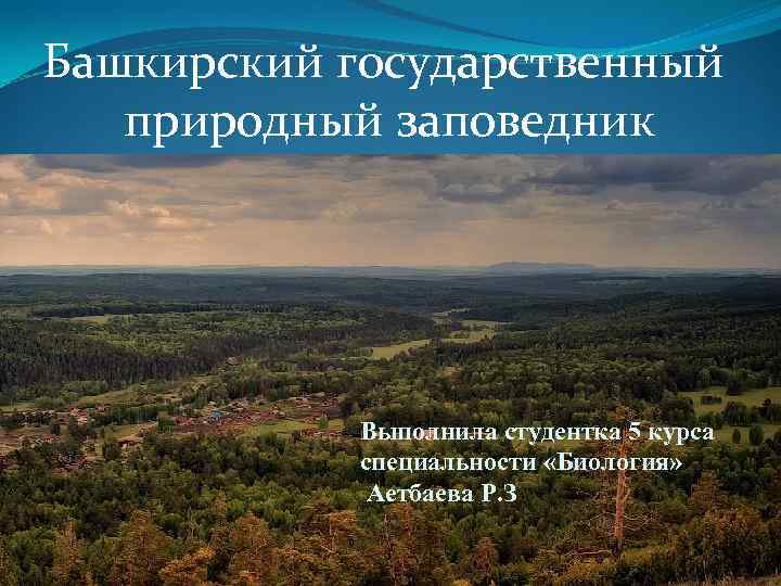 Фото башкирский государственный заповедник