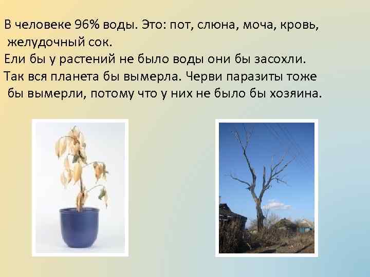 В человеке 96% воды. Это: пот, слюна, моча, кровь, желудочный сок. Ели бы у