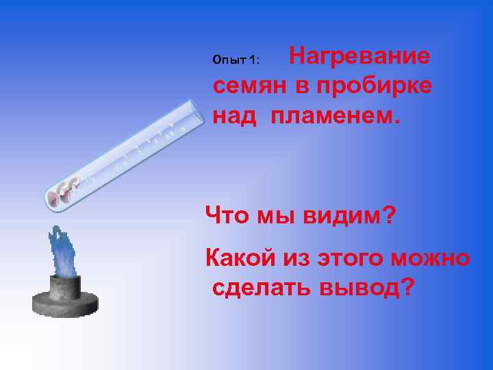 Нагревание это. Нагревание семян в пробирке. Нагревание над пламенем. Нагревание пробирки. Опыт нагревание семян в пробирке.