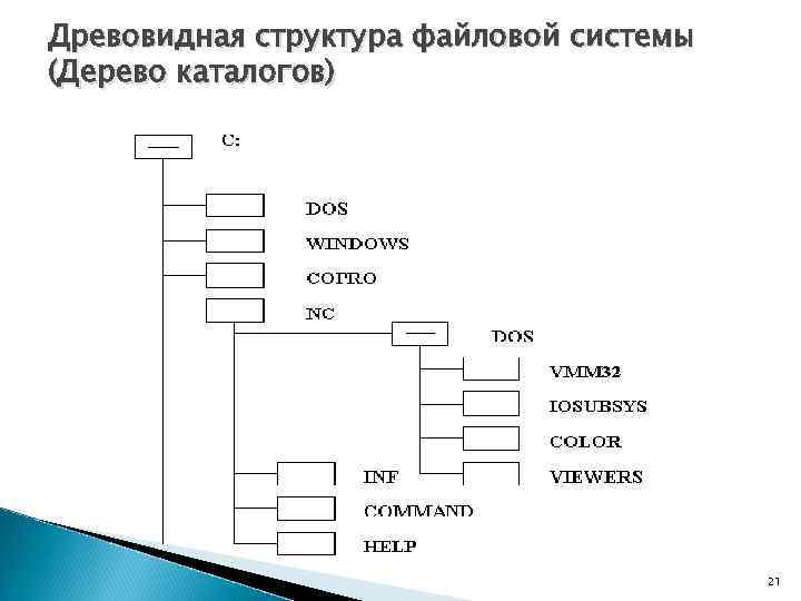 Файловая система 7 класс