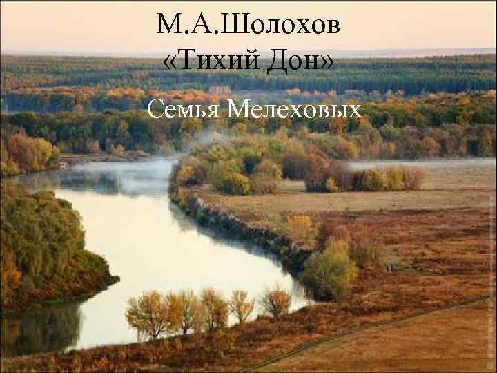 М. А. Шолохов «Тихий Дон» Семья Мелеховых 
