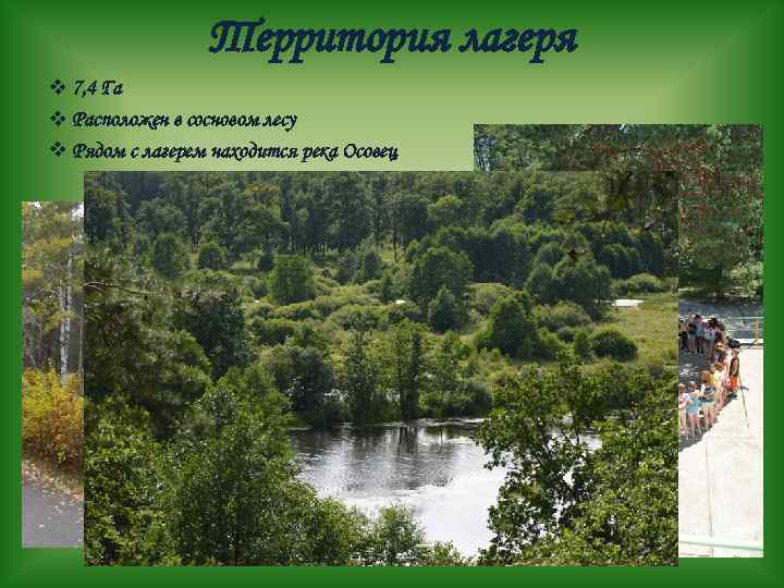 Территория лагеря v 7, 4 Га v Расположен в сосновом лесу v Рядом с