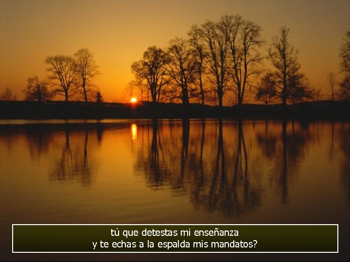 tú que detestas mi enseñanza y te echas a la espalda mis mandatos? 