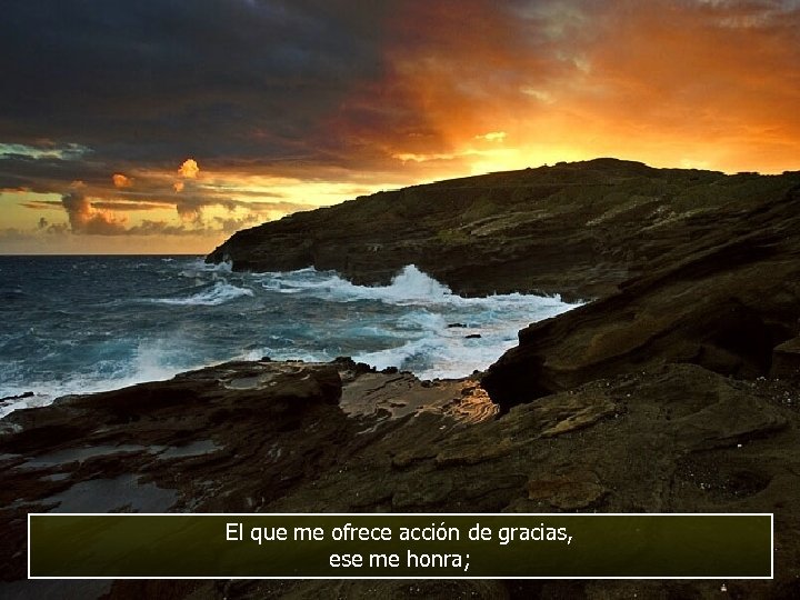 El que me ofrece acción de gracias, ese me honra; 