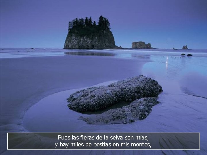 Pues las fieras de la selva son mías, y hay miles de bestias en