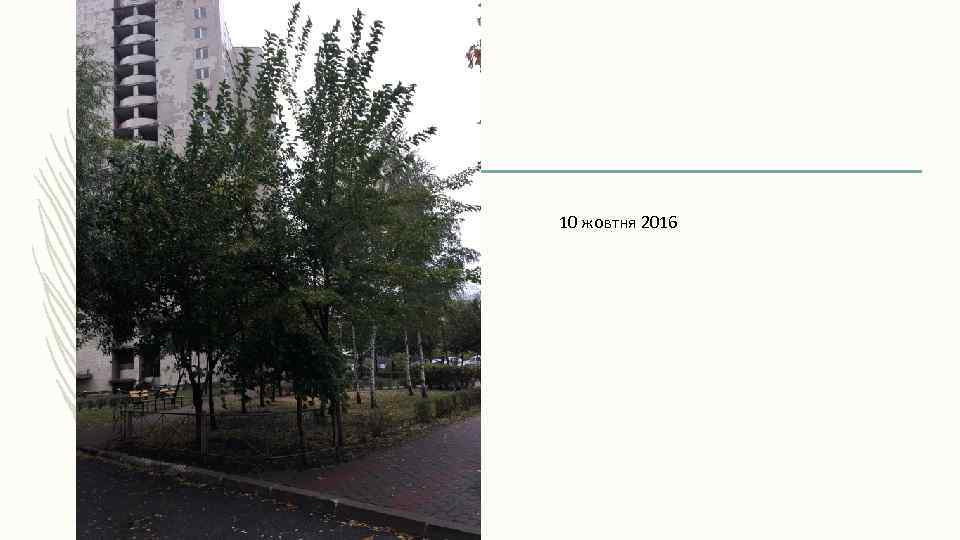 10 жовтня 2016 