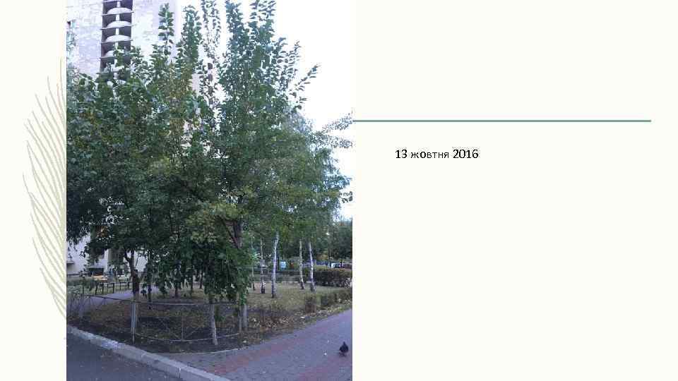 13 жовтня 2016 