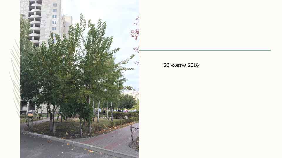 20 жовтня 2016 