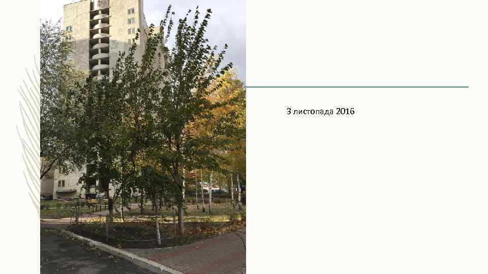 3 листопада 2016 