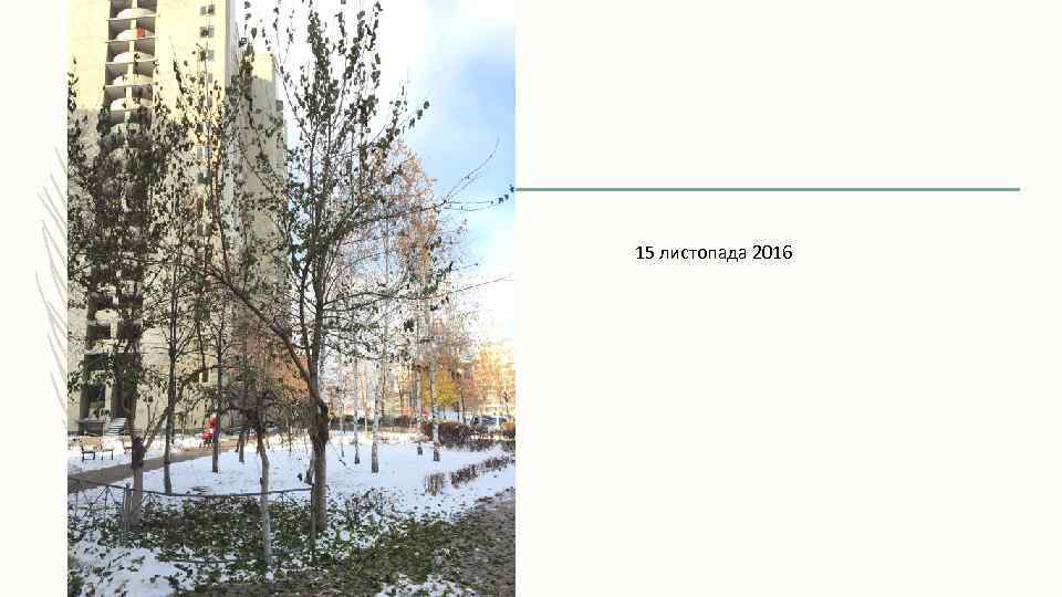 15 листопада 2016 