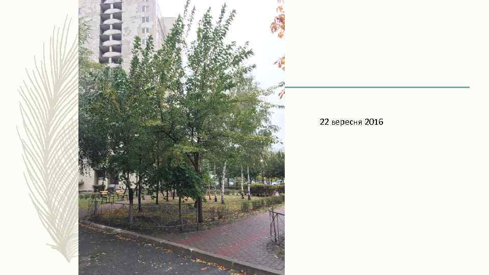 22 вересня 2016 