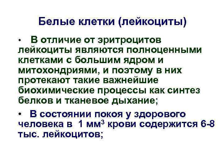 Белые клетки (лейкоциты) В отличие от эритроцитов лейкоциты являются полноценными клетками с большим ядром