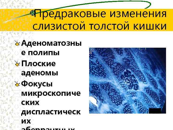 Предраковые изменения слизистой толстой кишки Аденоматозны е полипы Плоские аденомы Фокусы микроскопиче ских диспластическ