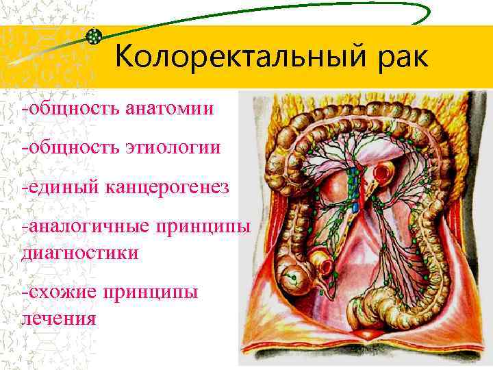 Колоректальный рак -общность анатомии -общность этиологии -единый канцерогенез -аналогичные принципы диагностики -схожие принципы лечения