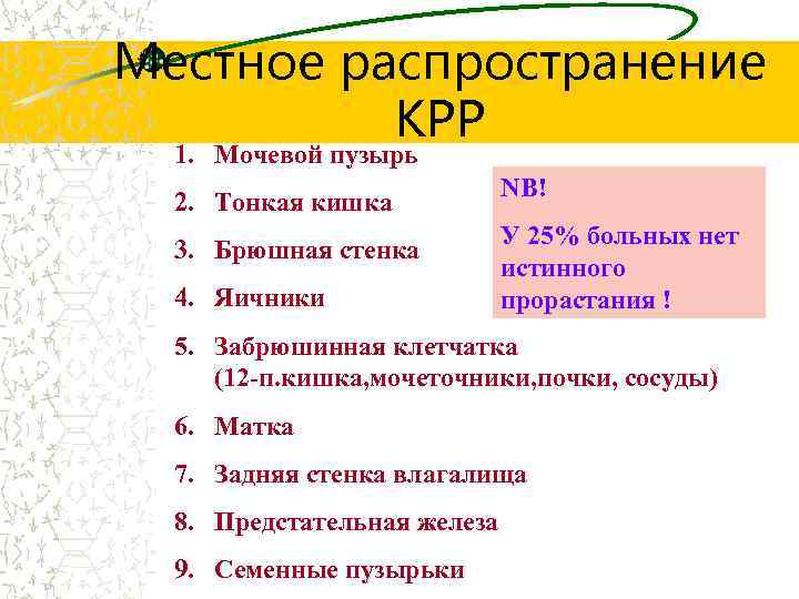 Местное распространение КРР 1. Мочевой пузырь 2. Тонкая кишка 3. Брюшная стенка 4. Яичники