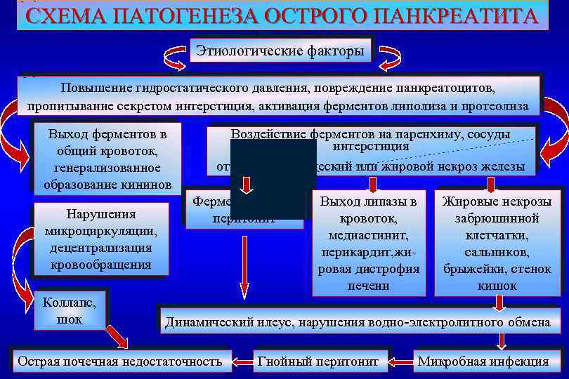 Острый панкреатит этиология. Механизм развития острого панкреатита. Патогенез острого панкреатита. Панкреатит этиология и патогенез. Этиологические факторы острого панкреатита.