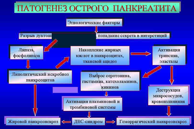 ПАТОГЕНЕЗ ОСТРОГО ПАНКРЕАТИТА Этиологические факторы Разрыв дуктоацинарных соединений, попадание секрета в интерстиций Липаза, фосфолипаза