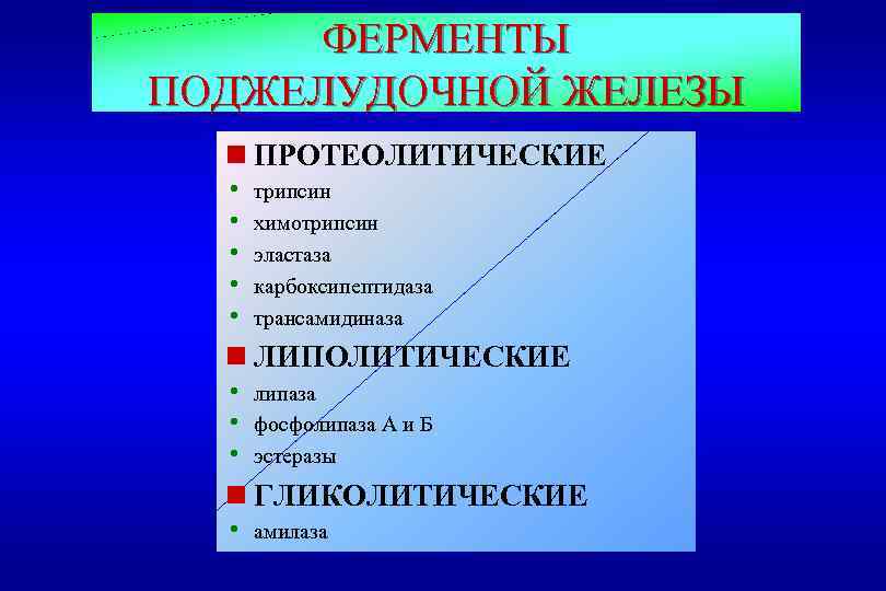 ФЕРМЕНТЫ ПОДЖЕЛУДОЧНОЙ ЖЕЛЕЗЫ n ПРОТЕОЛИТИЧЕСКИЕ h трипсин h химотрипсин h эластаза h карбоксипептидаза h