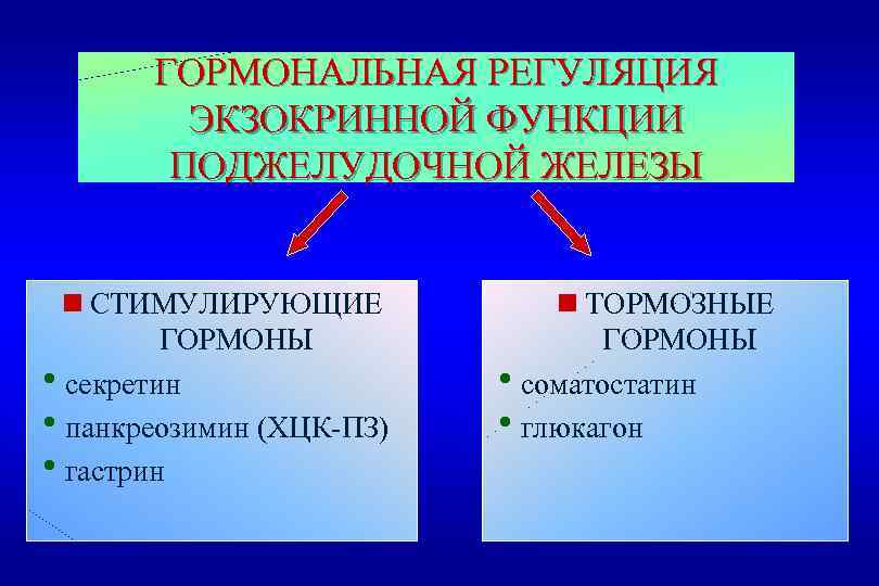 ГОРМОНАЛЬНАЯ РЕГУЛЯЦИЯ ЭКЗОКРИННОЙ ФУНКЦИИ ПОДЖЕЛУДОЧНОЙ ЖЕЛЕЗЫ n СТИМУЛИРУЮЩИЕ ГОРМОНЫ hсекретин hпанкреозимин (ХЦК-ПЗ) hгастрин n