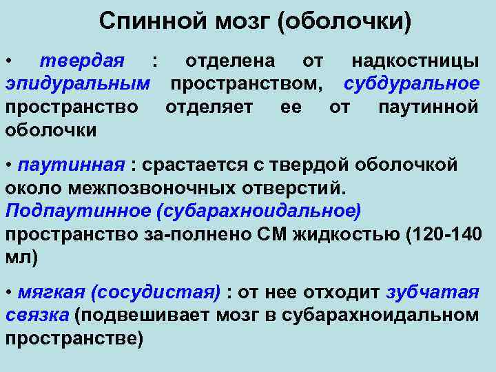 Спинной мозг (оболочки) • твердая : отделена от надкостницы эпидуральным пространством, субдуральное пространство отделяет