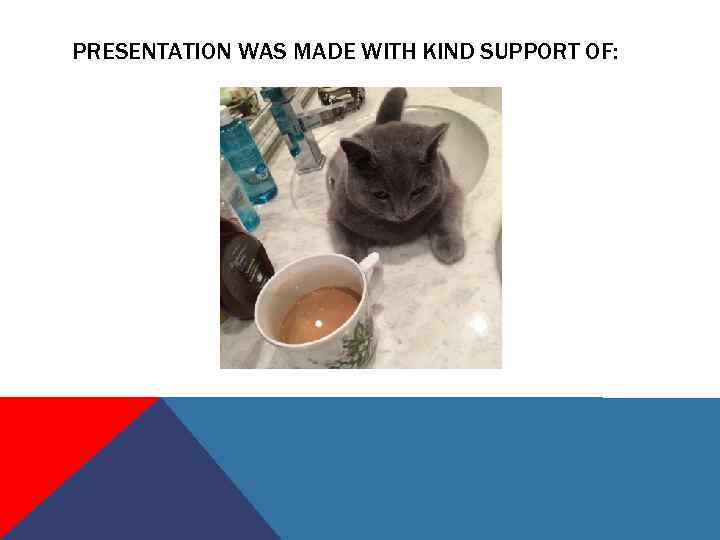 PRESENTATION WAS MADE WITH KIND SUPPORT OF: 