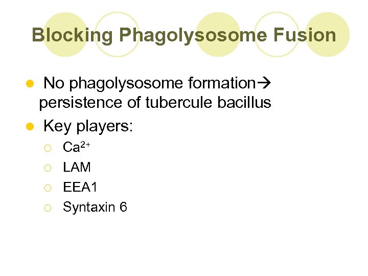 Blocking Phagolysosome Fusion No phagolysosome formation persistence of tubercule bacillus l Key players: l