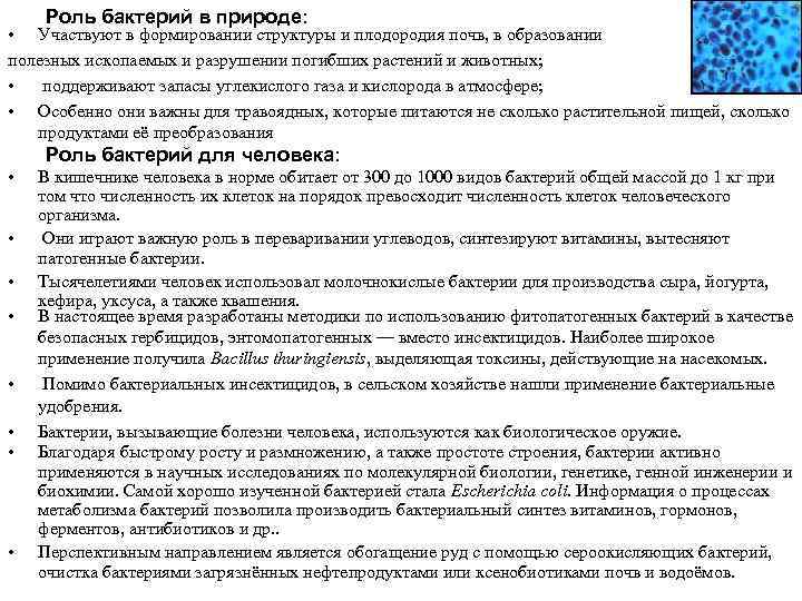 Роль бактерий в природе: • Участвуют в формировании структуры и плодородия почв, в образовании