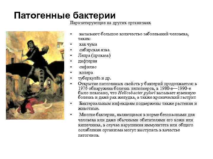 Патогенные бактерии Паразитирующие на других организмах • • • вызывают большое количество заболеваний человека,